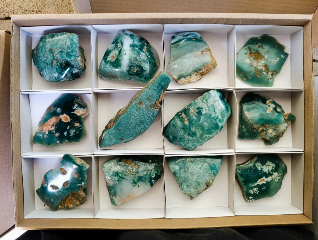 Polished One Side Mtorolite Chrysoprase Slices x 12 From Mutorashanga, Zimbabwe - Toprock Gemstones and Minerals 