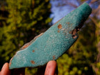 Polished One Side Mtorolite Chrysoprase Slices x 12 From Mutorashanga, Zimbabwe - Toprock Gemstones and Minerals 