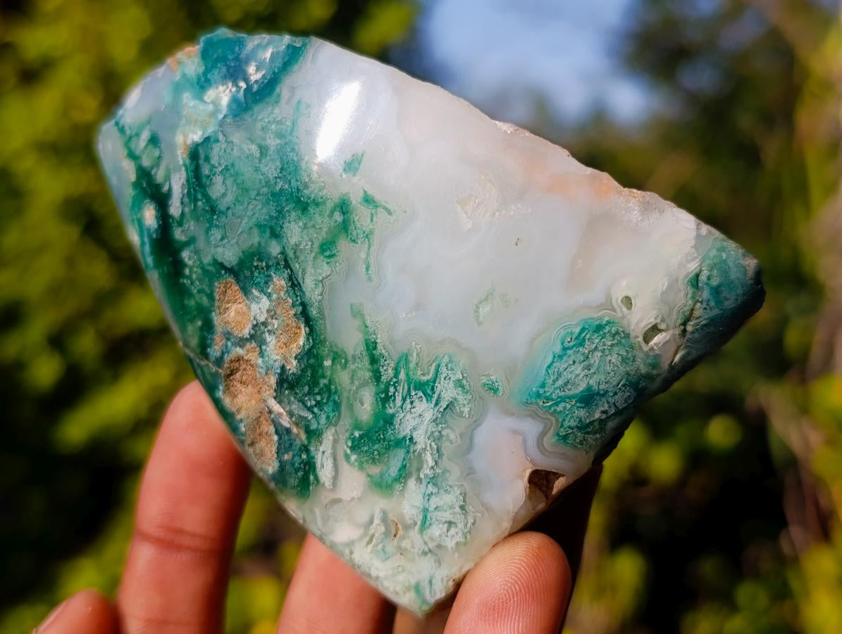 Polished One Side Mtorolite Chrysoprase Slices x 12 From Mutorashanga, Zimbabwe - Toprock Gemstones and Minerals 