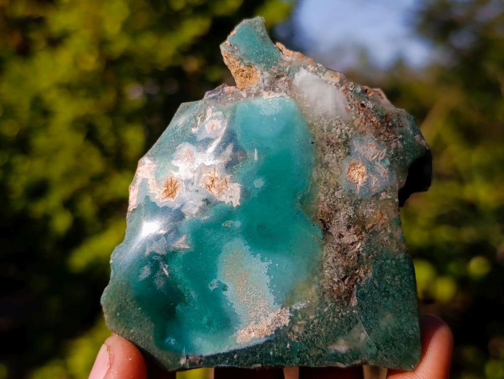 Polished One Side Mtorolite Chrysoprase Slices x 12 From Mutorashanga, Zimbabwe - Toprock Gemstones and Minerals 
