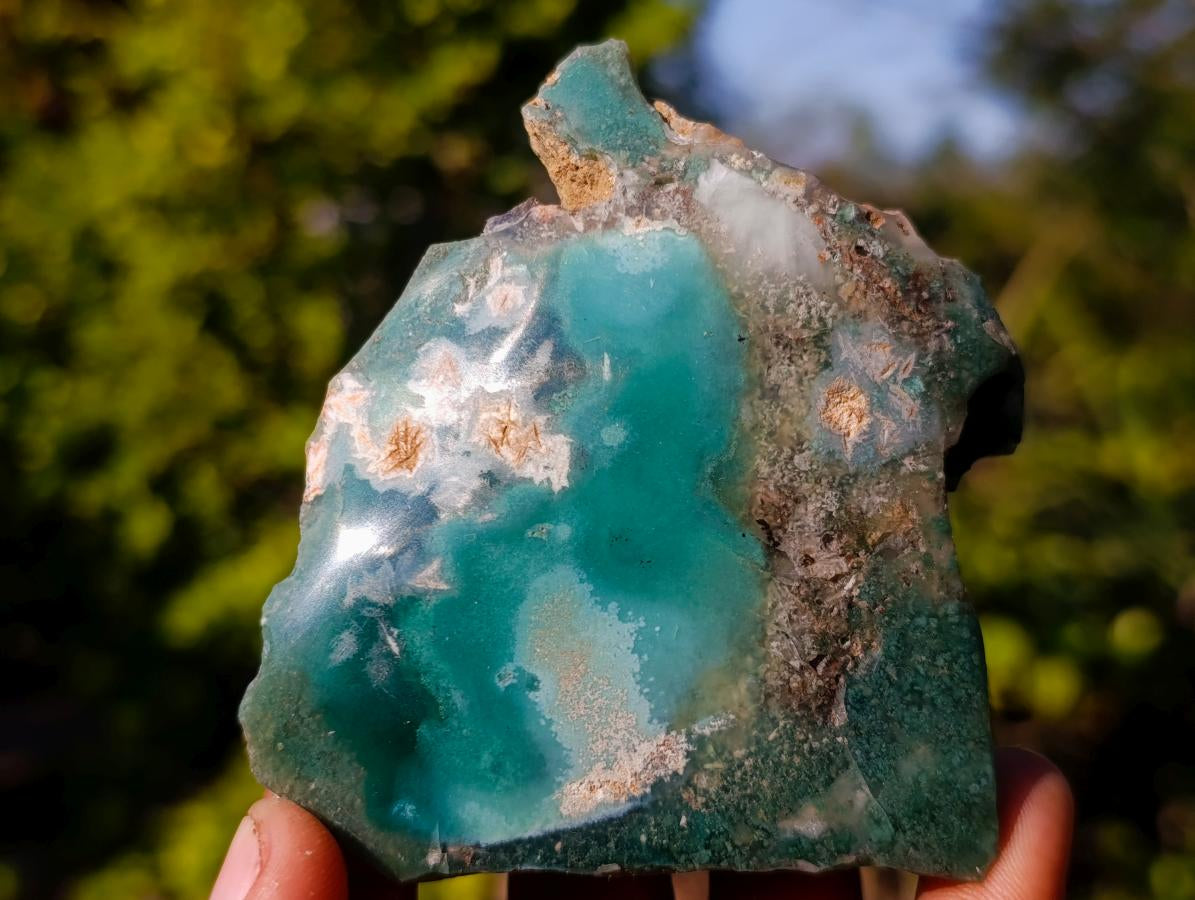 Polished One Side Mtorolite Chrysoprase Slices x 12 From Mutorashanga, Zimbabwe - Toprock Gemstones and Minerals 