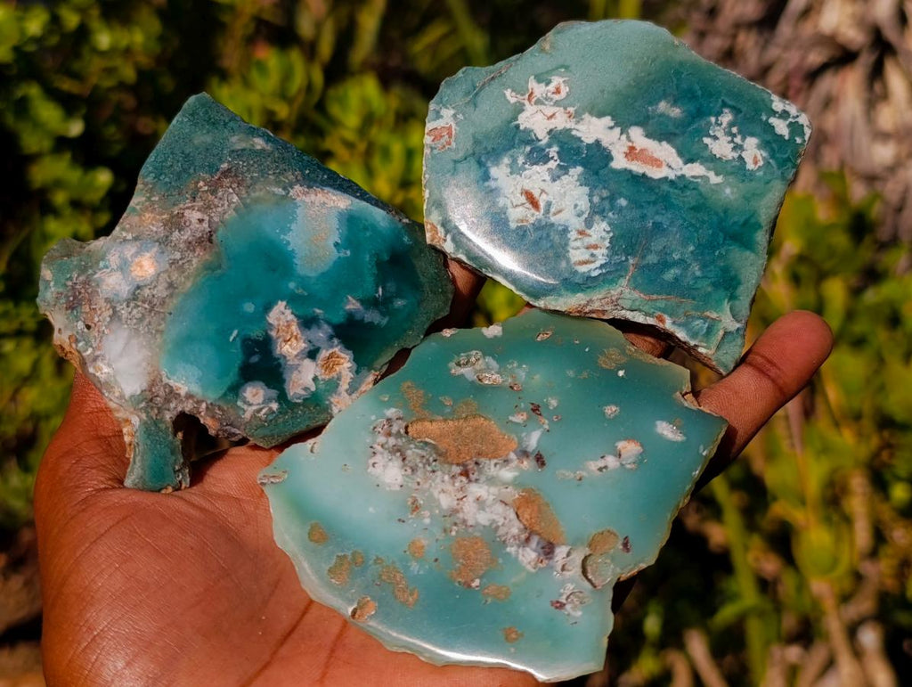 Polished One Side Mtorolite Chrysoprase Slices x 12 From Mutorashanga, Zimbabwe - Toprock Gemstones and Minerals 