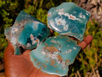 Polished One Side Mtorolite Chrysoprase Slices x 12 From Mutorashanga, Zimbabwe - Toprock Gemstones and Minerals 