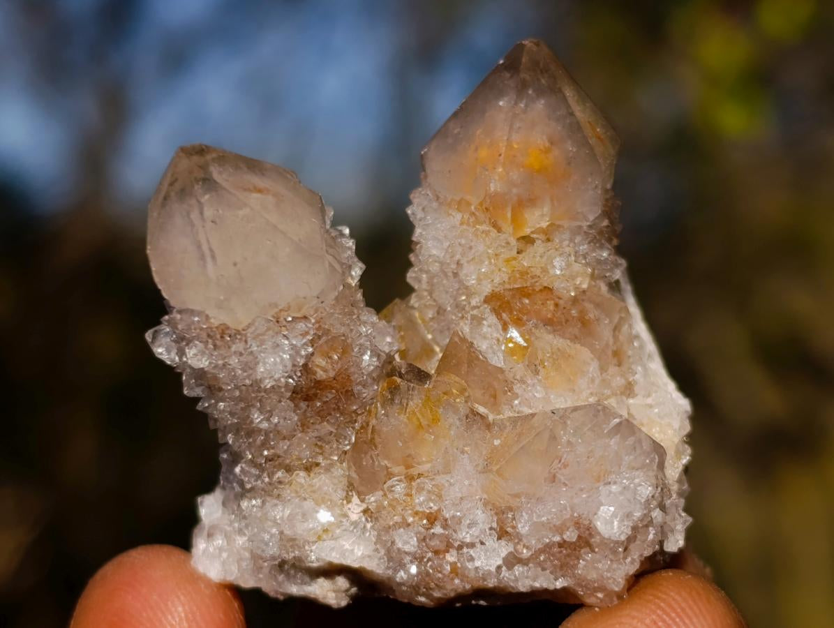 Natural Drusy Fairy Spirit Quartz Crystals x 70 From Boekenhouthoek, South Africa - Toprock Gemstones and Minerals 