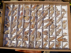 Natural Drusy Fairy Spirit Quartz Crystals x 70 From Boekenhouthoek, South Africa - Toprock Gemstones and Minerals 