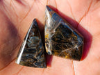 Polished Rare Pietersite Jewellery Free Form Crystals x 30 From Outjo, Namibia - Toprock Gemstones and Minerals 