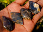 Polished Rare Pietersite Jewellery Free Form Crystals x 30 From Outjo, Namibia - Toprock Gemstones and Minerals 