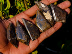 Polished Rare Pietersite Jewellery Free Form Crystals x 30 From Outjo, Namibia - Toprock Gemstones and Minerals 