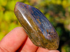 Polished Rare Pietersite Jewellery Free Form Crystals x 30 From Outjo, Namibia - Toprock Gemstones and Minerals 
