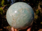 Polished Large Amazonite Sphere x 1 From South Africa - Toprock Gemstones and Minerals 