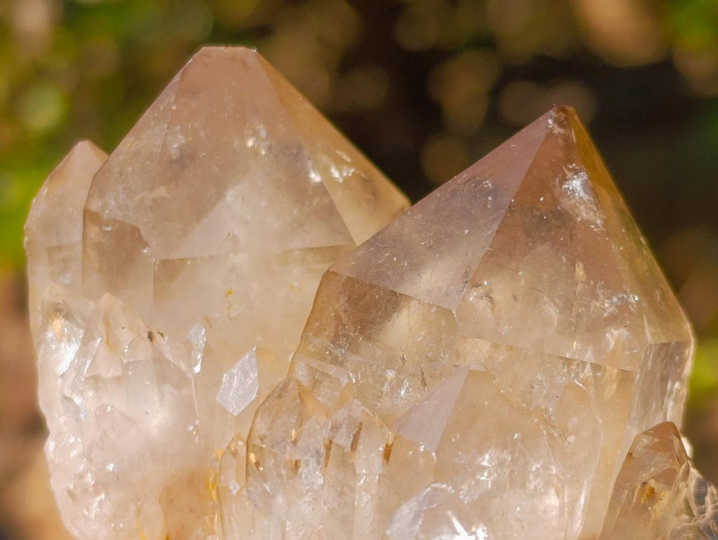 Natural Smokey Luena Clear Citrine Quartz Clusters x 6 From Luena, Congo - Toprock Gemstones and Minerals 