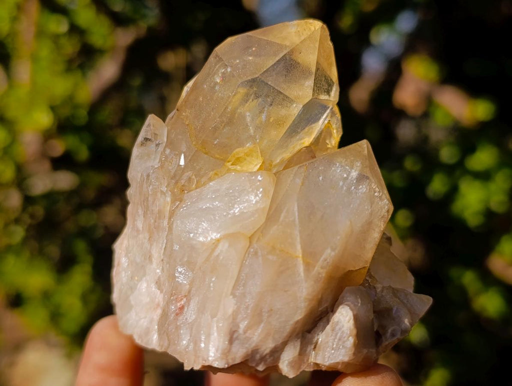 Natural Smokey Luena Clear Citrine Quartz Clusters x 6 From Luena, Congo - Toprock Gemstones and Minerals 