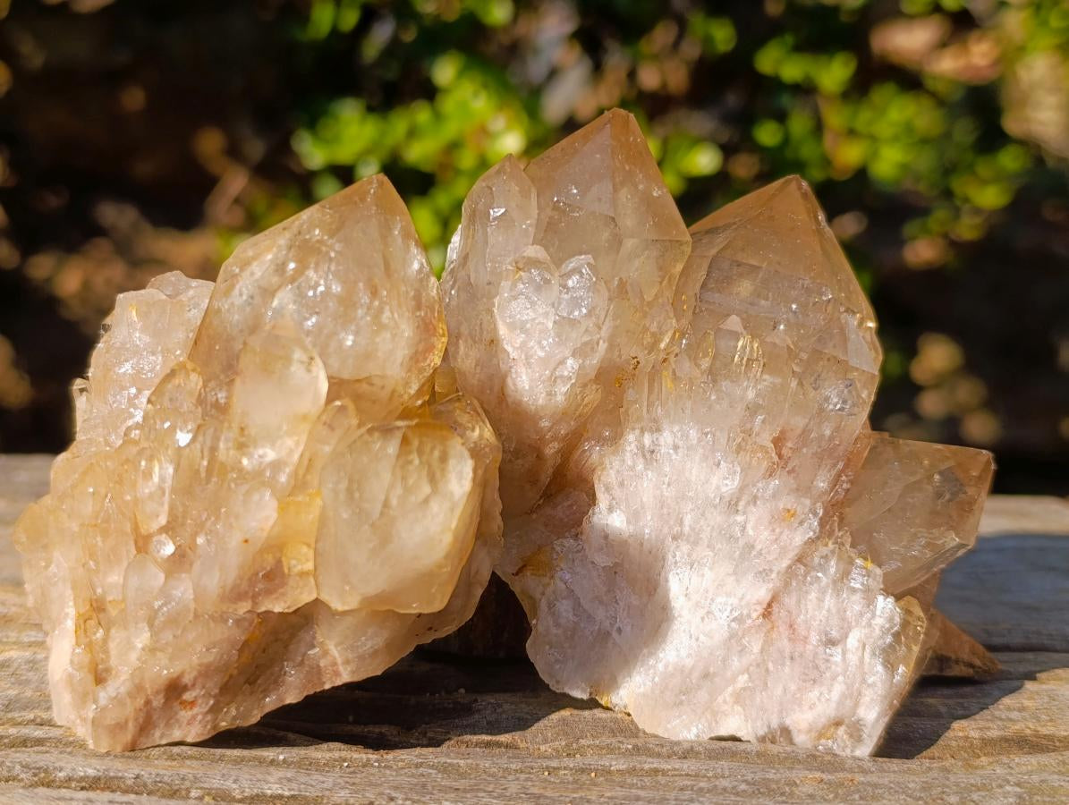 Natural Smokey Luena Clear Citrine Quartz Clusters x 6 From Luena, Congo - Toprock Gemstones and Minerals 