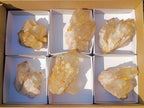 Natural Smokey Luena Clear Citrine Quartz Clusters x 6 From Luena, Congo - Toprock Gemstones and Minerals 