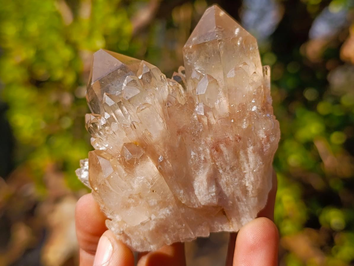 Natural Smokey Luena Clear Citrine Quartz Clusters x 6 From Luena, Congo - Toprock Gemstones and Minerals 