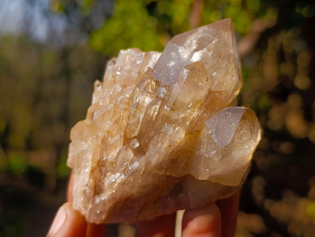 Natural Smokey Luena Clear Citrine Quartz Clusters x 6 From Luena, Congo - Toprock Gemstones and Minerals 