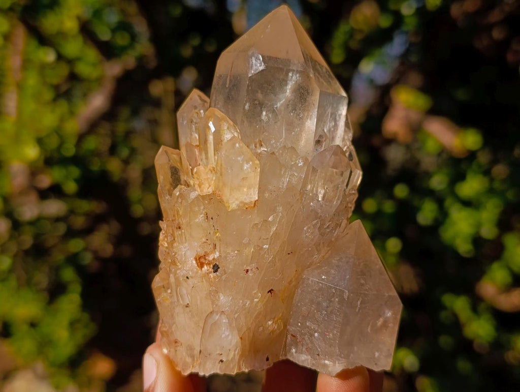 Natural Smokey Luena Clear Citrine Quartz Clusters x 6 From Luena, Congo - Toprock Gemstones and Minerals 