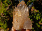 Natural Smokey Luena Clear Citrine Quartz Clusters x 6 From Luena, Congo - Toprock Gemstones and Minerals 
