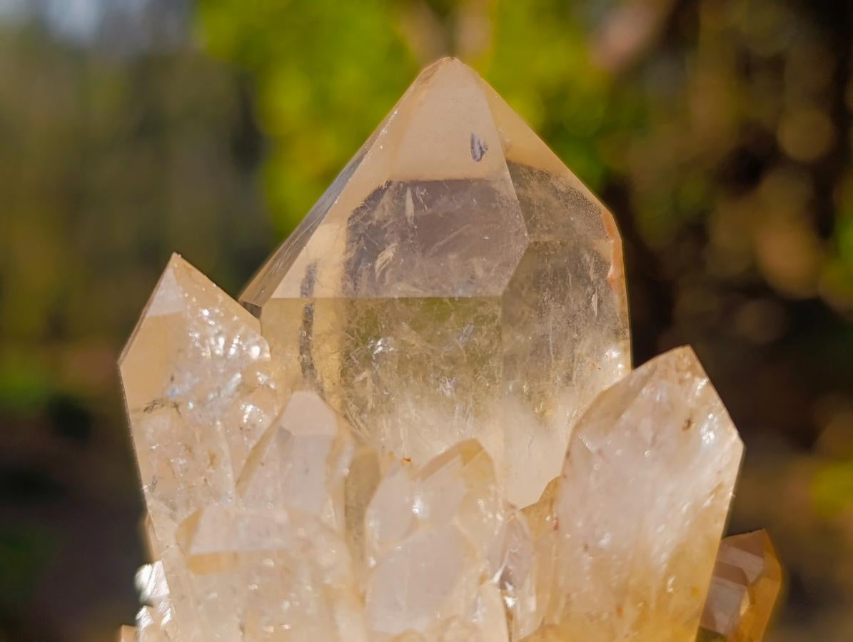 Natural Smokey Luena Clear Citrine Quartz Clusters x 6 From Luena, Congo - Toprock Gemstones and Minerals 
