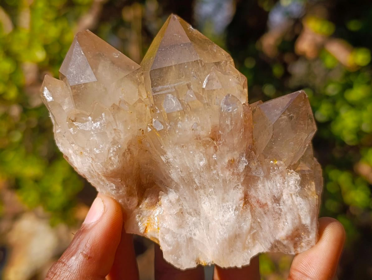 Natural Smokey Luena Clear Citrine Quartz Clusters x 6 From Luena, Congo - Toprock Gemstones and Minerals 