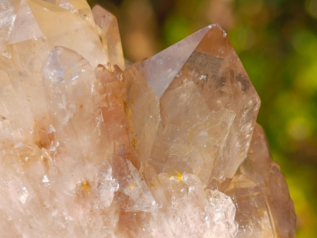 Natural Smokey Luena Clear Citrine Quartz Clusters x 6 From Luena, Congo - Toprock Gemstones and Minerals 