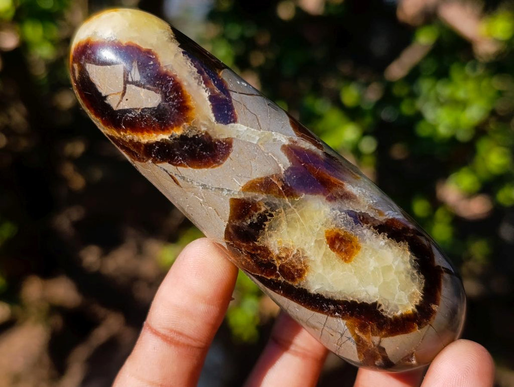 Polished Septerye Massage Wands x 6 From Mahajanga, Madagascar - Toprock Gemstones and Minerals 