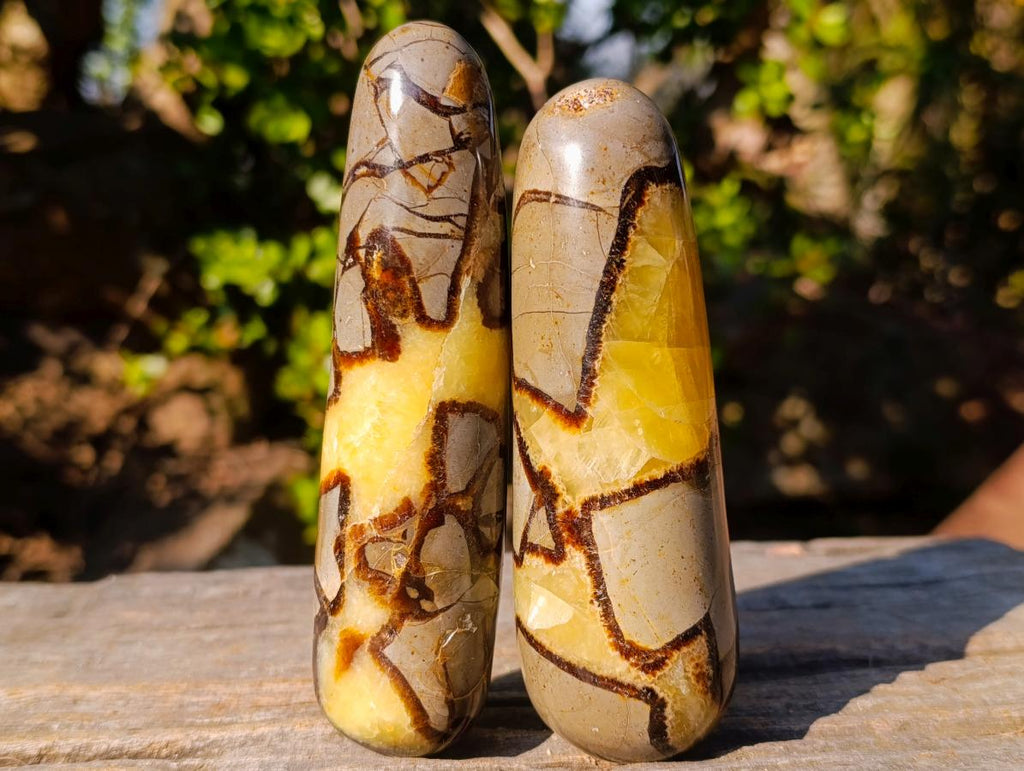 Polished Septerye Massage Wands x 6 From Mahajanga, Madagascar - Toprock Gemstones and Minerals 