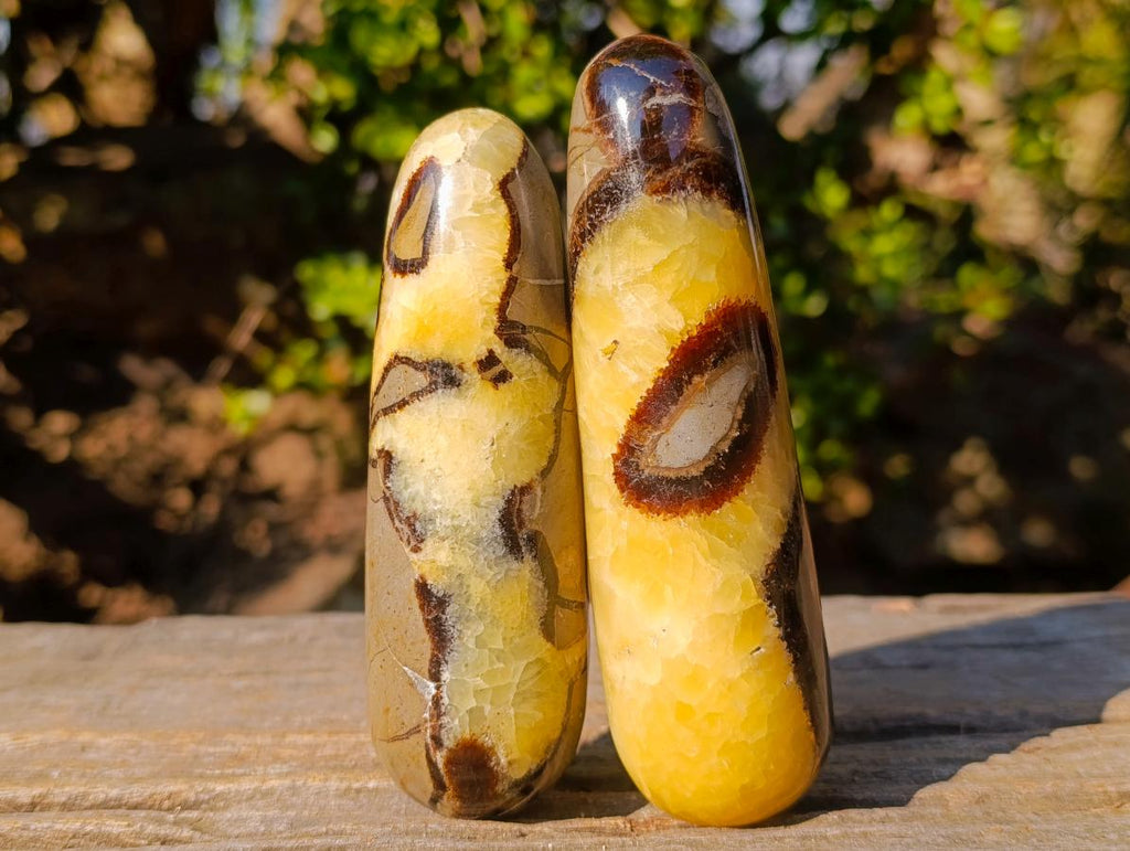 Polished Septerye Massage Wands x 6 From Mahajanga, Madagascar - Toprock Gemstones and Minerals 