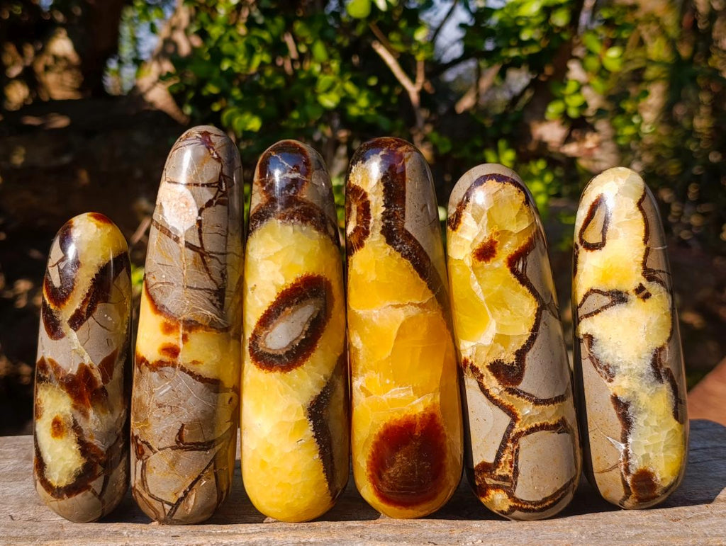 Polished Septerye Massage Wands x 6 From Mahajanga, Madagascar - Toprock Gemstones and Minerals 