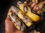 Polished Septerye Massage Wands x 6 From Mahajanga, Madagascar - Toprock Gemstones and Minerals 