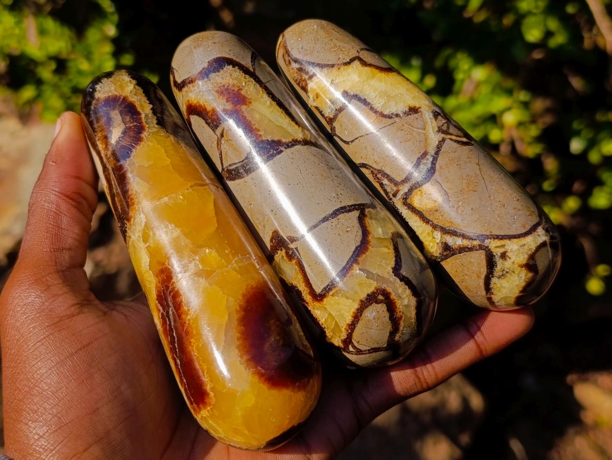 Polished Septerye Massage Wands x 6 From Mahajanga, Madagascar - Toprock Gemstones and Minerals 