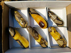 Polished Septerye Massage Wands x 6 From Mahajanga, Madagascar - Toprock Gemstones and Minerals 