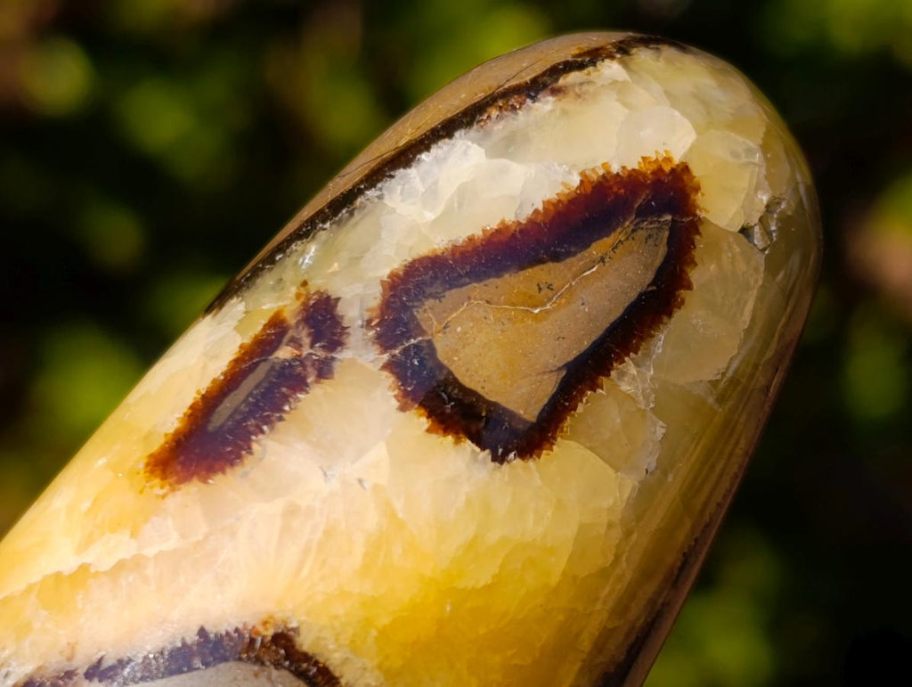 Polished Septerye Massage Wands x 6 From Mahajanga, Madagascar - Toprock Gemstones and Minerals 