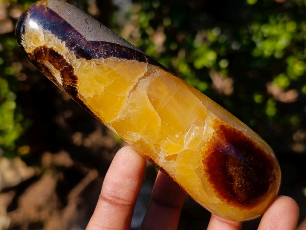 Polished Septerye Massage Wands x 6 From Mahajanga, Madagascar - Toprock Gemstones and Minerals 