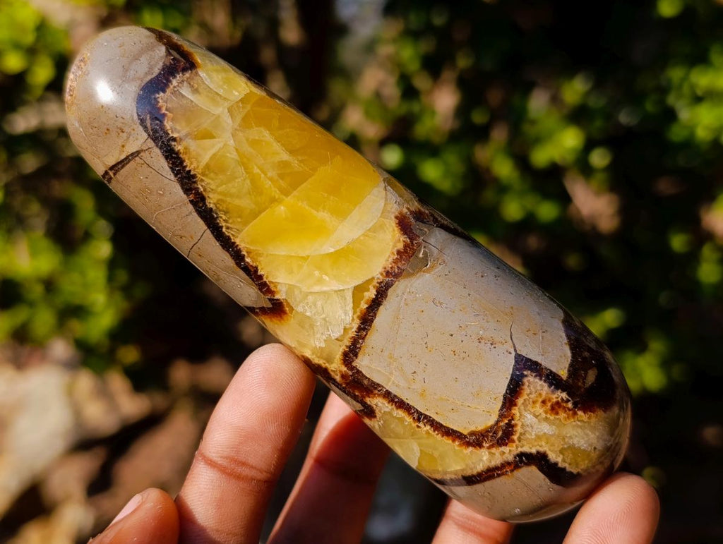 Polished Septerye Massage Wands x 6 From Mahajanga, Madagascar - Toprock Gemstones and Minerals 