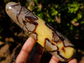 Polished Septerye Massage Wands x 6 From Mahajanga, Madagascar - Toprock Gemstones and Minerals 