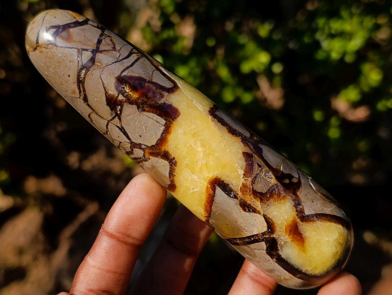 Polished Septerye Massage Wands x 6 From Mahajanga, Madagascar - Toprock Gemstones and Minerals 