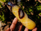 Polished Septerye Massage Wands x 6 From Mahajanga, Madagascar - Toprock Gemstones and Minerals 
