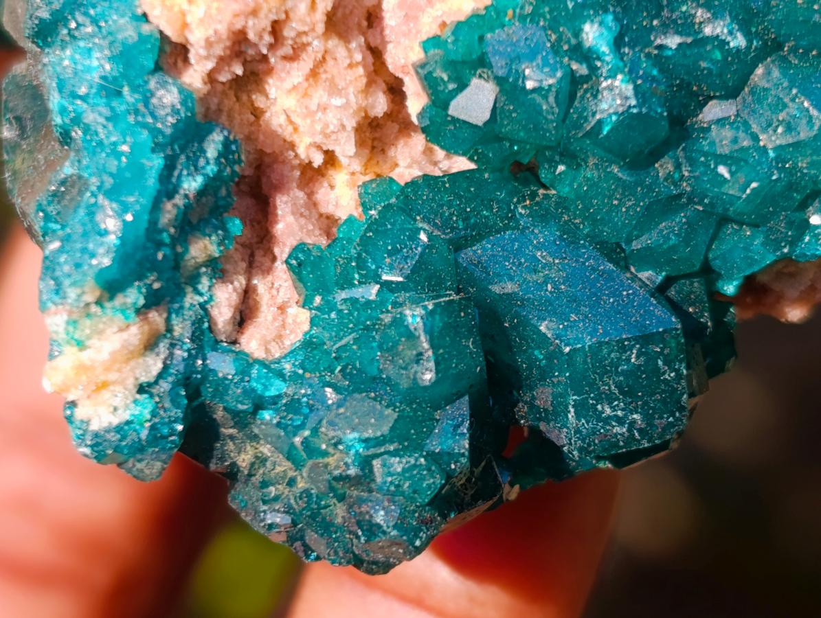 Natural Dioptase on Dolomite Specimens x 6 From Mashamba East Mine, Congo - Toprock Gemstones and Minerals 