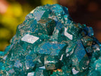 Natural Dioptase on Dolomite Specimens x 6 From Mashamba East Mine, Congo - Toprock Gemstones and Minerals 