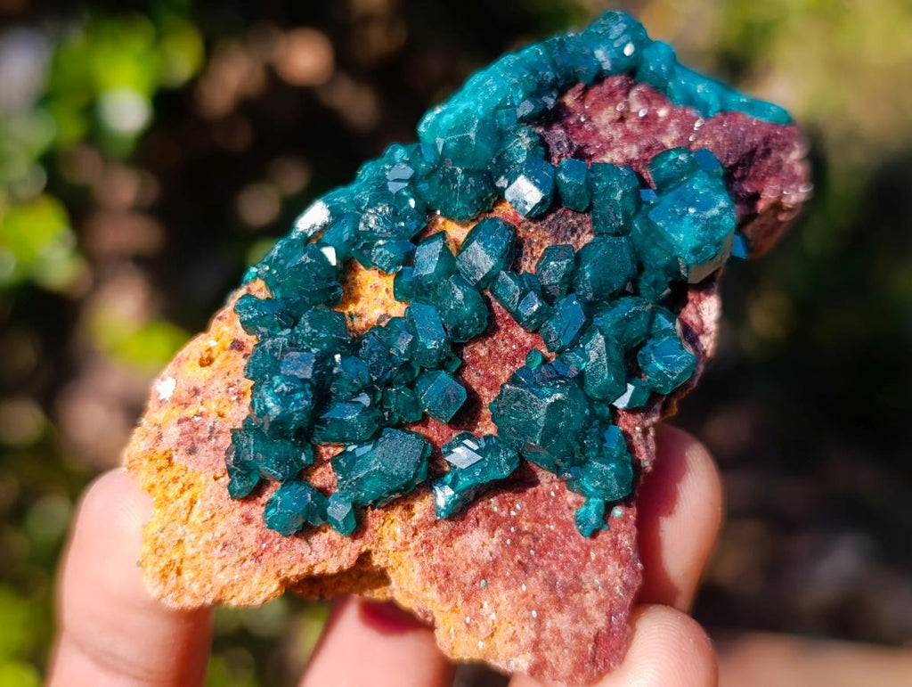 Natural Dioptase on Dolomite Specimens x 6 From Mashamba East Mine, Congo - Toprock Gemstones and Minerals 