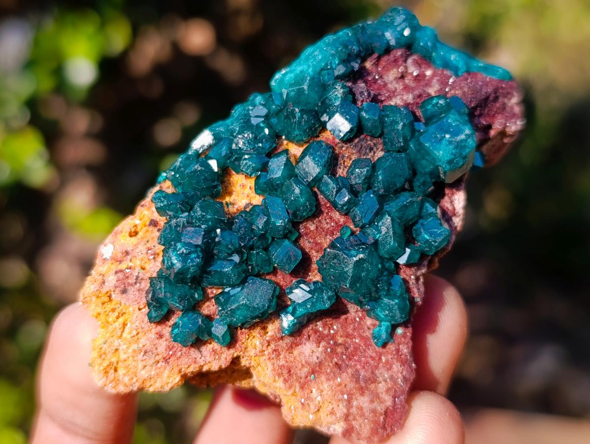 Natural Dioptase on Dolomite Specimens x 6 From Mashamba East Mine, Congo - Toprock Gemstones and Minerals 