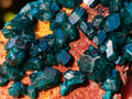 Natural Dioptase on Dolomite Specimens x 6 From Mashamba East Mine, Congo - Toprock Gemstones and Minerals 