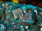 Natural Dioptase on Dolomite Specimens x 6 From Mashamba East Mine, Congo - Toprock Gemstones and Minerals 