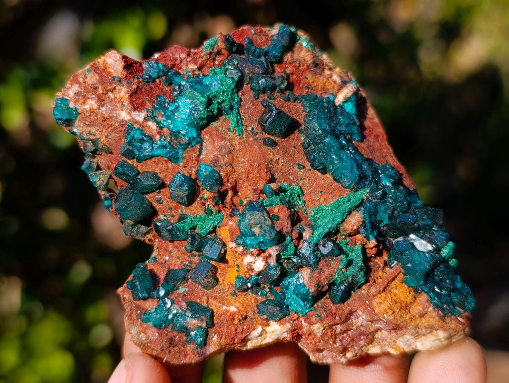 Natural Dioptase on Dolomite Specimens x 6 From Mashamba East Mine, Congo - Toprock Gemstones and Minerals 