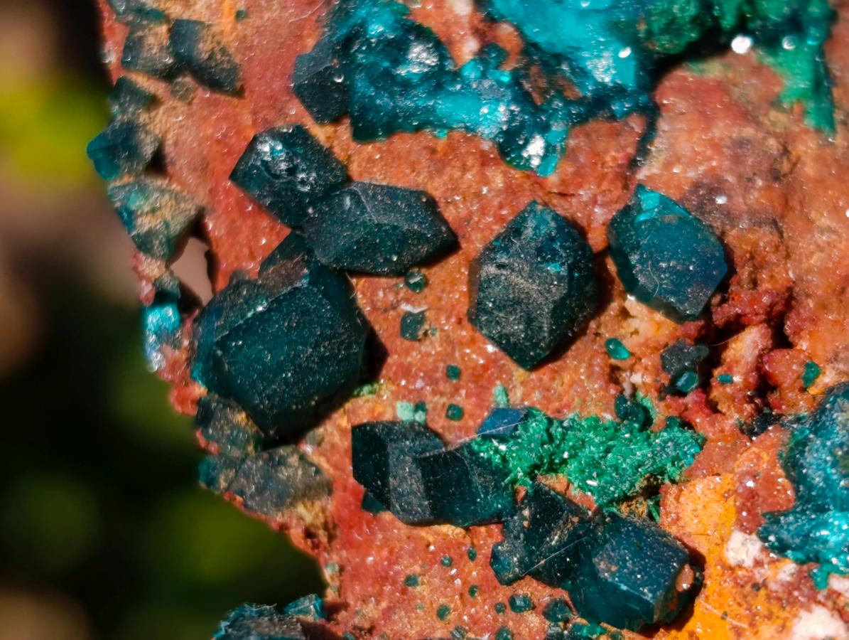 Natural Dioptase on Dolomite Specimens x 6 From Mashamba East Mine, Congo - Toprock Gemstones and Minerals 