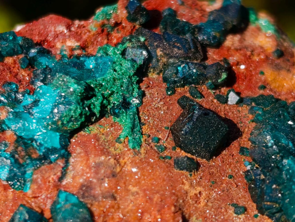 Natural Dioptase on Dolomite Specimens x 6 From Mashamba East Mine, Congo - Toprock Gemstones and Minerals 