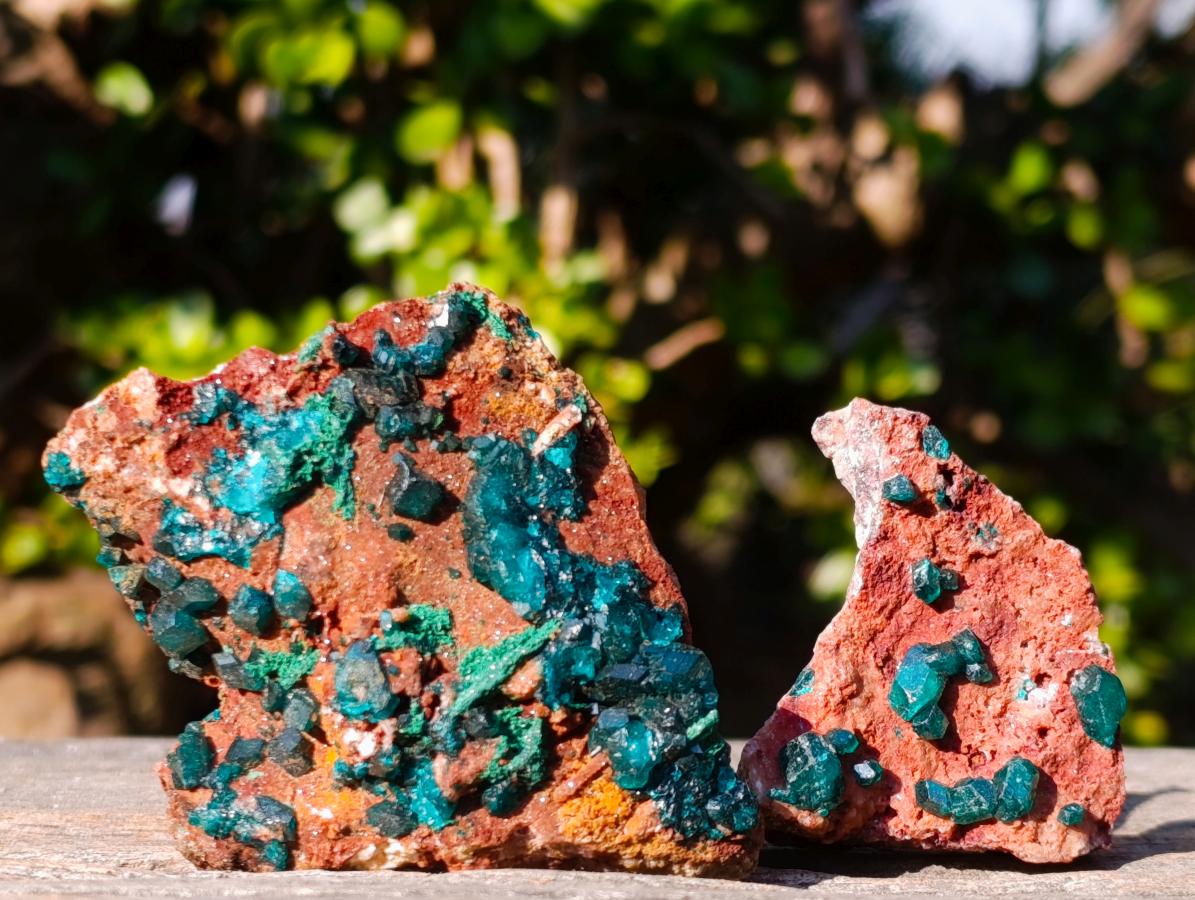 Natural Dioptase on Dolomite Specimens x 6 From Mashamba East Mine, Congo - Toprock Gemstones and Minerals 