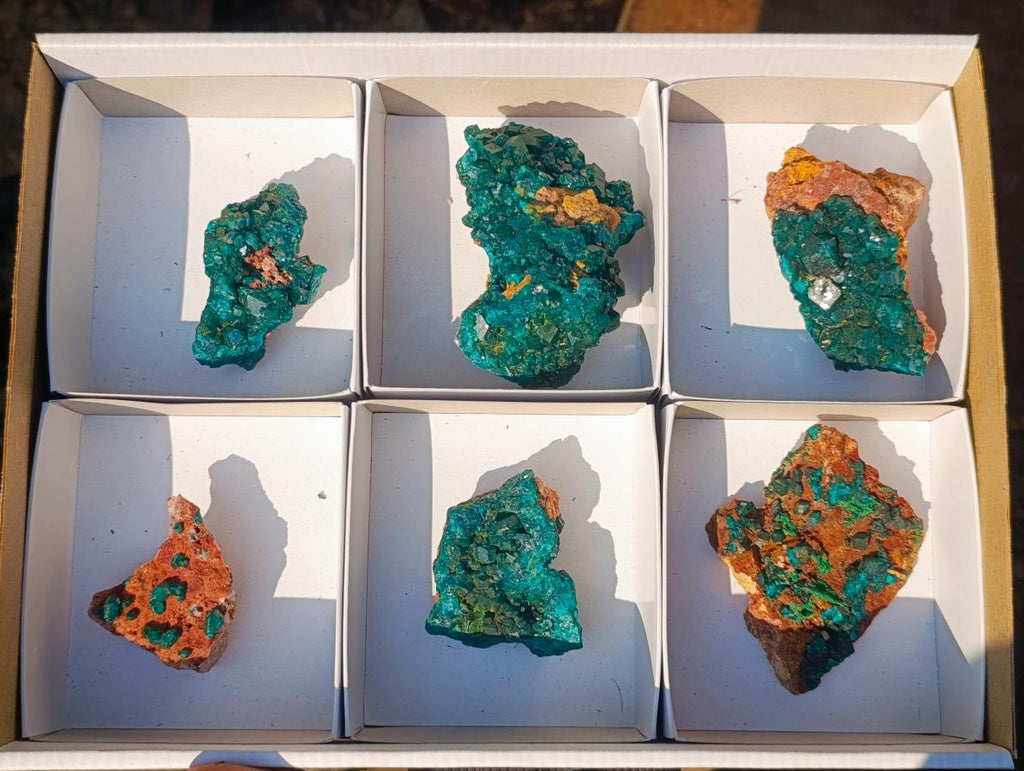 Natural Dioptase on Dolomite Specimens x 6 From Mashamba East Mine, Congo - Toprock Gemstones and Minerals 