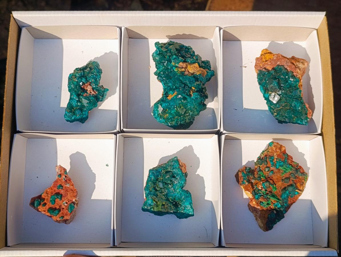Natural Dioptase on Dolomite Specimens x 6 From Mashamba East Mine, Congo - Toprock Gemstones and Minerals 